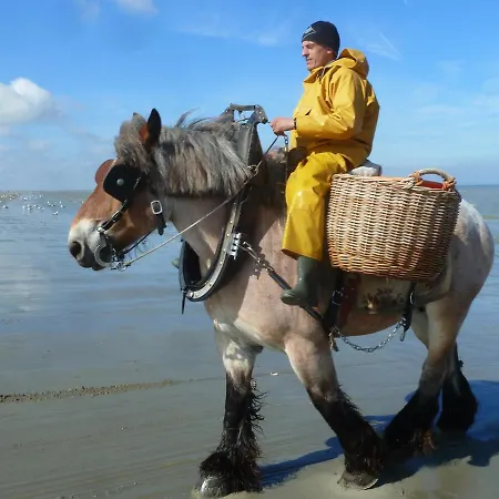 Nyaraló Holiday Garnaalhuisje Oostduinkerke